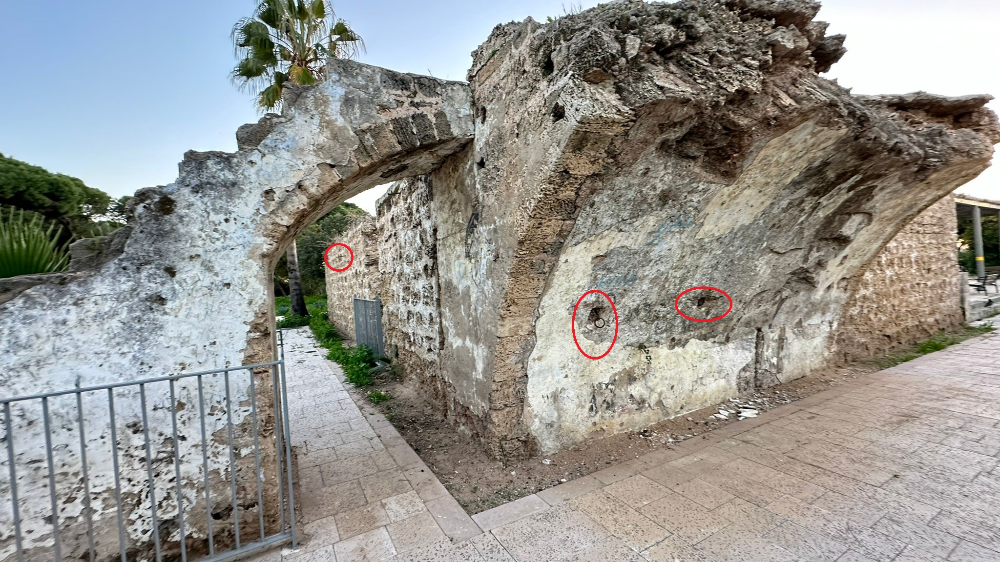 WhatsApp Image 2024-01-06 at 10.25.32 (1).jpg